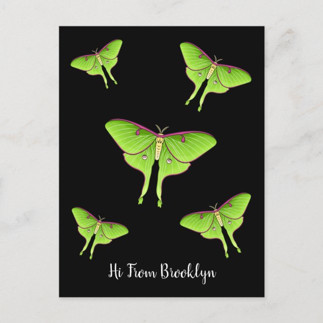 Luna Moth Cartoon Illustration Postkarte (Vorderseite)
