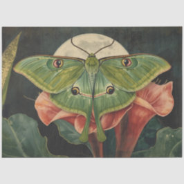 Luna Moth ConservatoryvBotanicals Seidenpapier