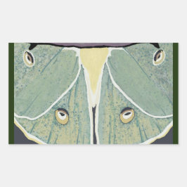 Luna Moth Digital Painting Accent Pillow Rechteckiger Aufkleber