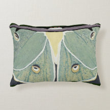 Luna Moth Digital Painting