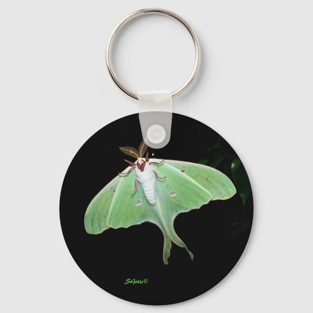Luna Moth Foto Schlüsselanhänger (Vorderseite)