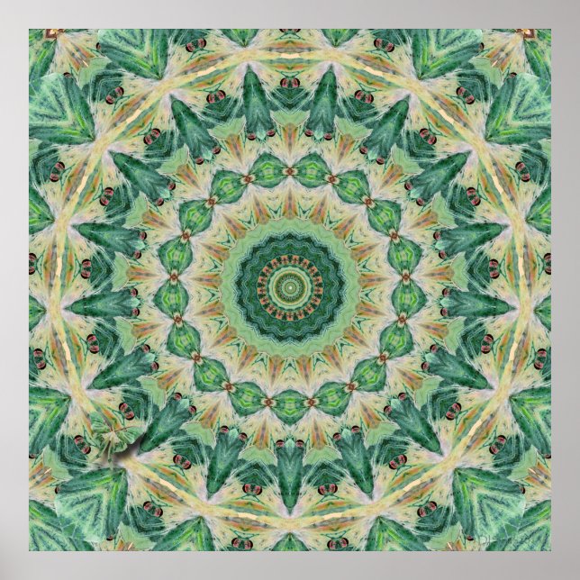 Luna Moth Kaleidoskop Art Print Poster (Vorne)