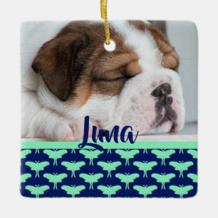 Luna Moth Keramikornament