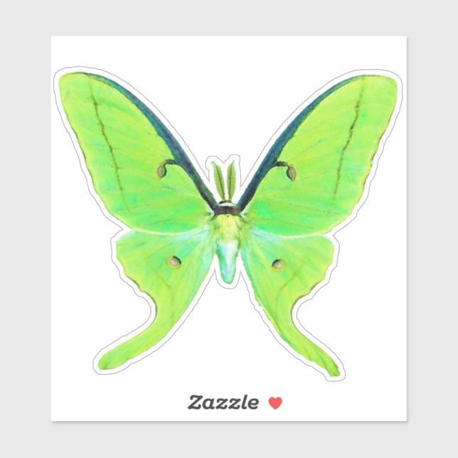 Luna Moth - Lime Green und Pale Green Aufkleber (Blatt)