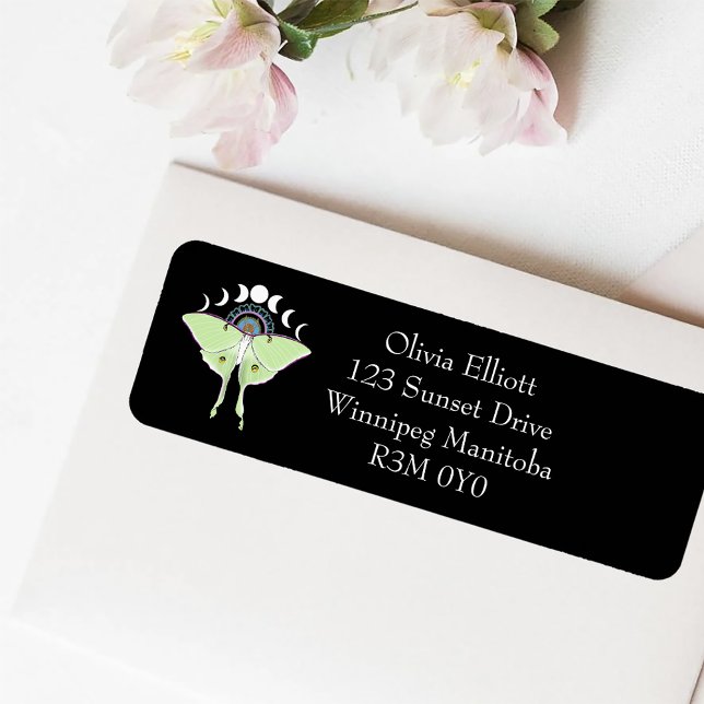 Luna Moth Moon Phases (Von Creator hochgeladen)