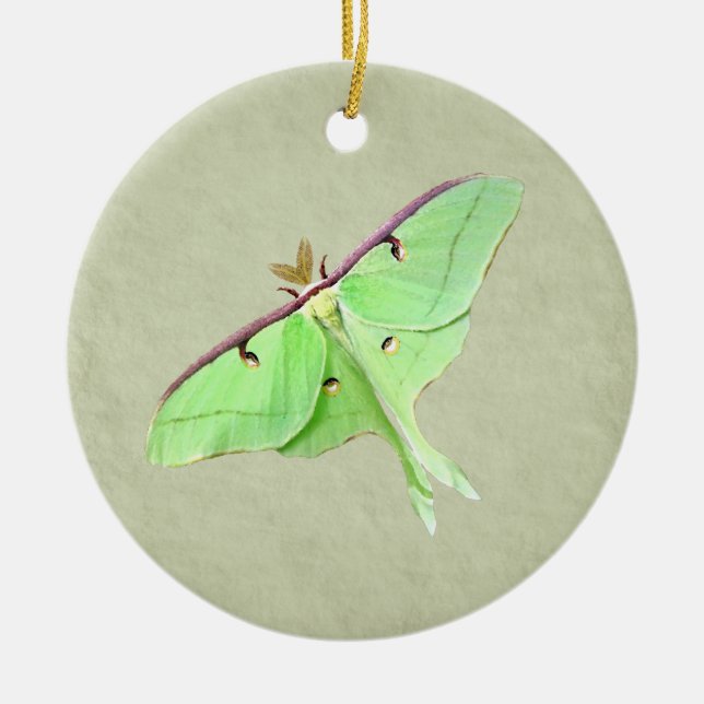 Luna Moth Ornament (Vorne)