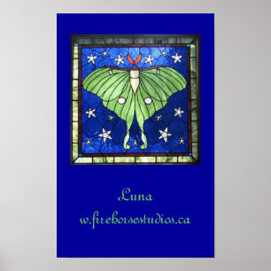 Luna Moth Poster
