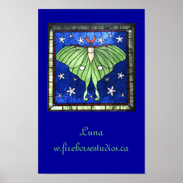 Luna Moth Poster (Vorne)