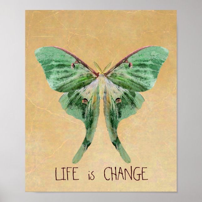Luna Moth Print Life ist Veränderung Poster (Vorne)