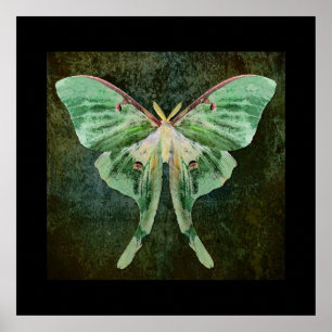 Luna Moth Print Poster