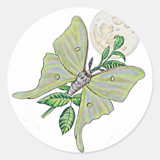 Luna Moth Runder Aufkleber (Vorderseite)