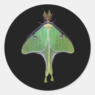 Luna Moth Runder Aufkleber
