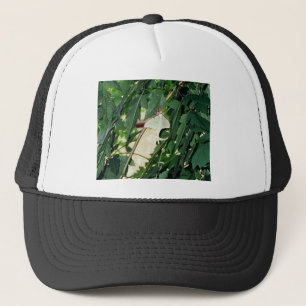 Luna Moth Truckerkappe