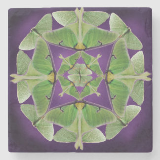 Luna Moth Untersetzer