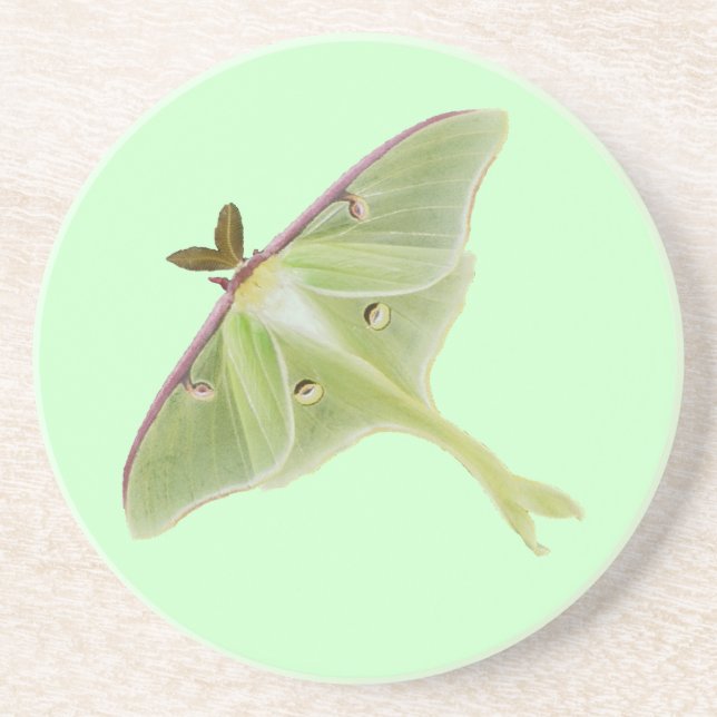 Luna Moth Untersetzer (Vorne)