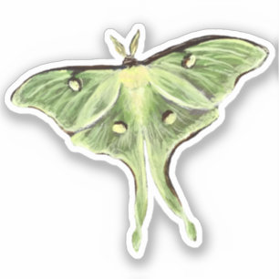 Luna Moth Vinyl Aufkleber