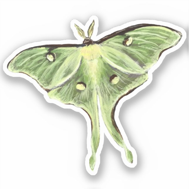 Luna Moth Vinyl Sticker (Vorderseite)