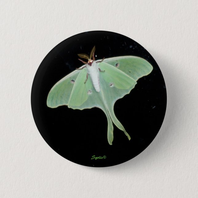 Luna-Motte Insekten-Knopf Button (Vorderseite)