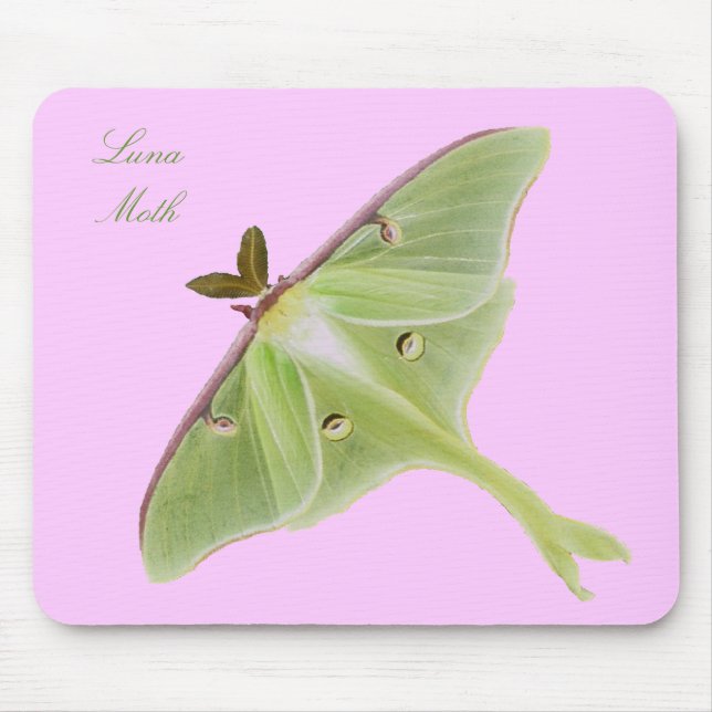 Luna-Motte Mousepad (Vorne)