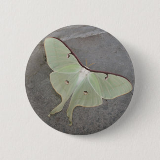 Luna-Mottenknopf Button