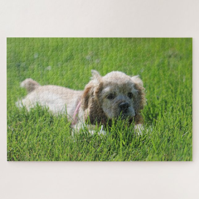 Luna Puzzle (Horizontal)