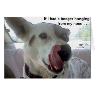 Luna sagt, wenn ich einen Booger hatte, von meiner