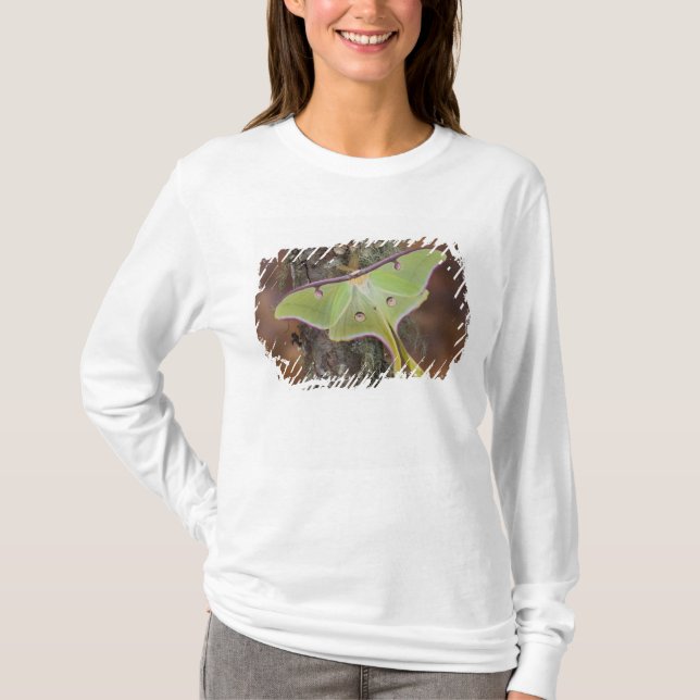 Luna Silk Moth T-Shirt (Vorderseite)