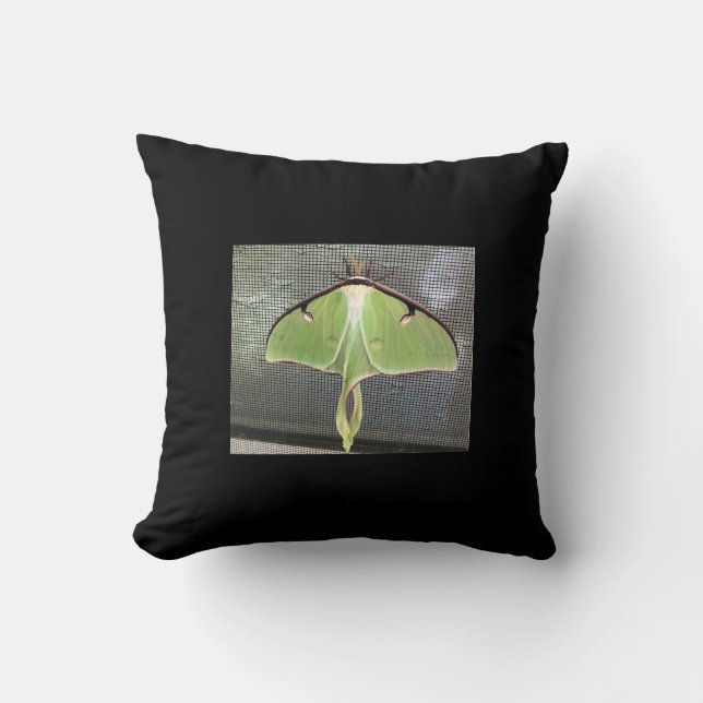 Lunar Moth Kissen (Vorderseite)