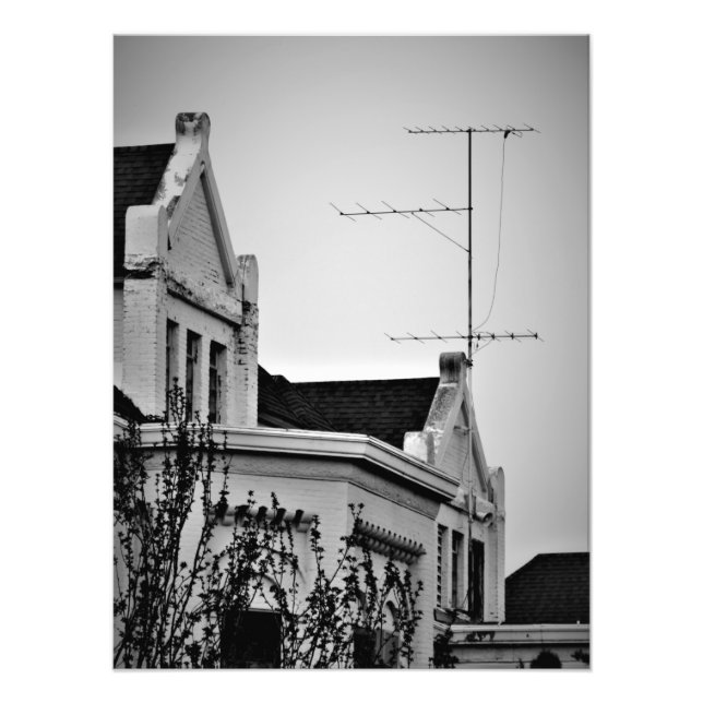 "Lunatic Fringe" Fotodruck (Vorne)