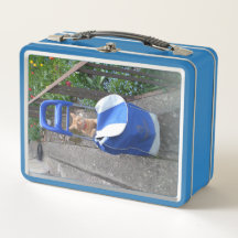 Lunch Box Kids Ginger Cat