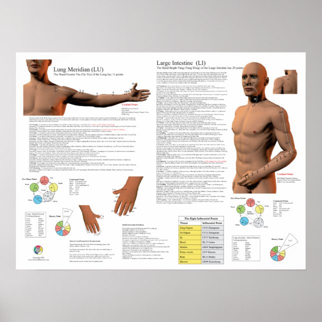 Lung Meridian Acupuncture Points Poster (Vorne)