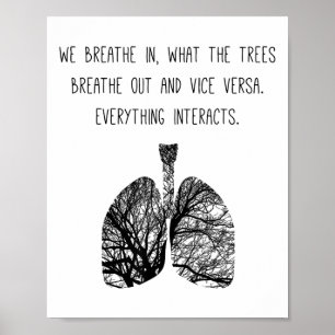 Lung Tree Air Breathe Atmung Fotosynthese Tre Poster