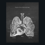 Lunge Herzanatomie Art Deco Posterior Ansicht Poster<br><div class="desc">Posterior Ansicht von Lungen und Herz. Anatomie Art Decor. Das ist einer der Drucke,  die unsere Anatomy Lungs Art Serie ausmachen. Bitte suchen Sie nach den anderen Lung Anatomy Artwork in unserem Zazzle Shop. (https://www.zazzle.com/store/humanbodyillustrated)</div>