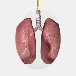 Lungen Keramik Ornament