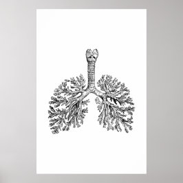 Lungenanatomie-Illustrationspopster Poster