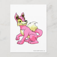 Lupe Pink