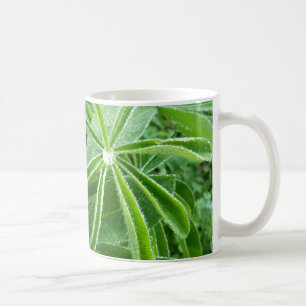 Lupin-Blätter Botanische Fotografie Kaffeetasse
