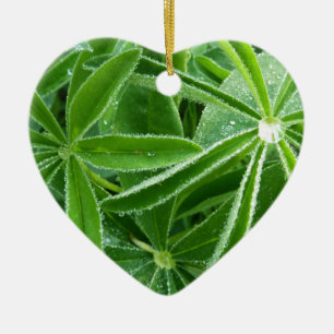 Lupin-Blätter Botanische Fotografie Keramikornament