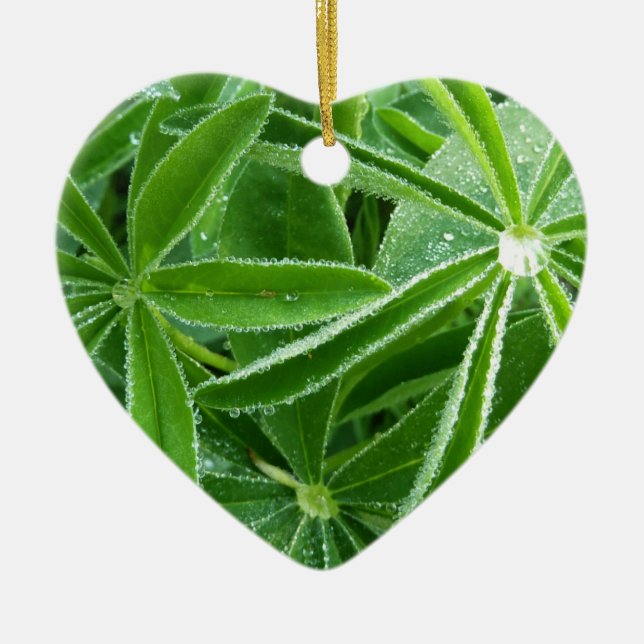 Lupin-Blätter Botanische Fotografie Keramikornament (Vorne)