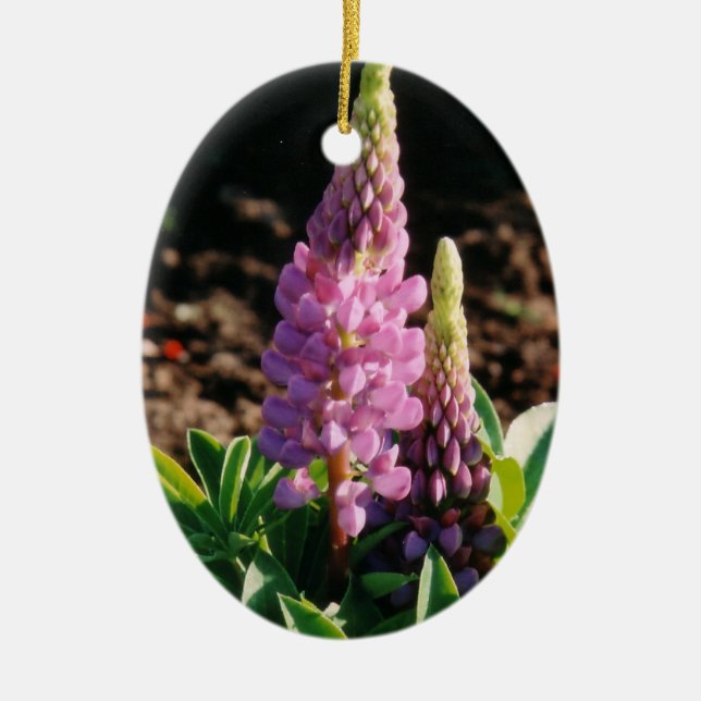 Lupin-Ornament Keramikornament (Vorne)
