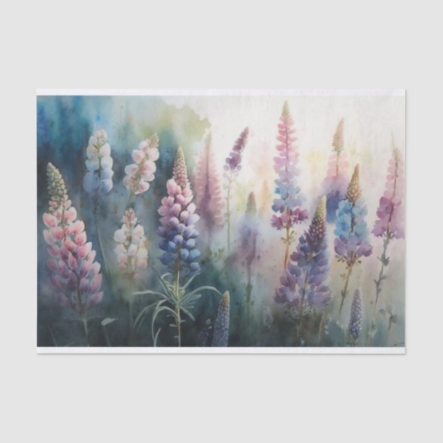 Lupine 1 seidenpapier (Vorderseite)