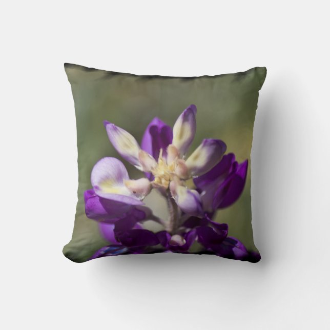 Lupine Black Edge Kissen (Vorderseite)