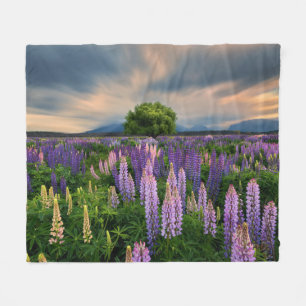 Lupine-Feld in Neuseeland Fleecedecke