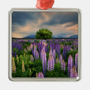 Lupine-Feld in Neuseeland Ornament Aus Metall