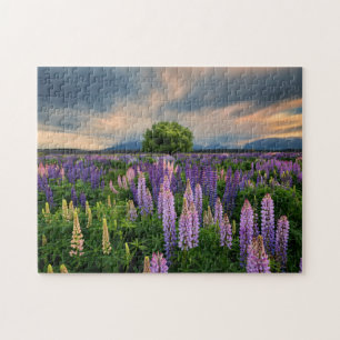 Lupine-Feld in Neuseeland Puzzle