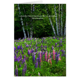 Lupine Field Celebrates Diversity