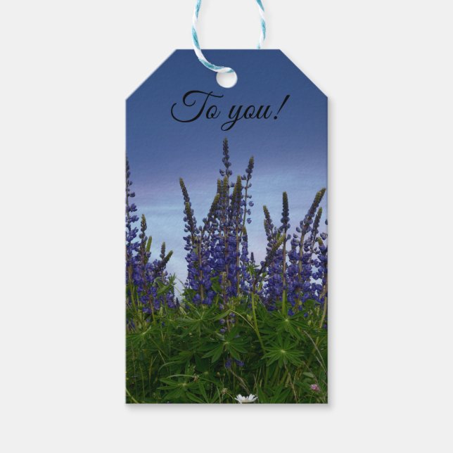 Lupine Geschenkanhänger (Vorderseite)