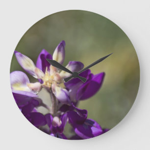 Lupine Große Wanduhr