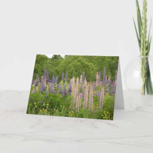 Lupine Karte (Vorderseite)