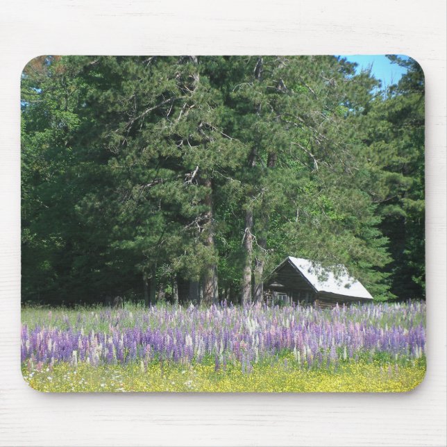 Lupine Mousepad (Vorne)